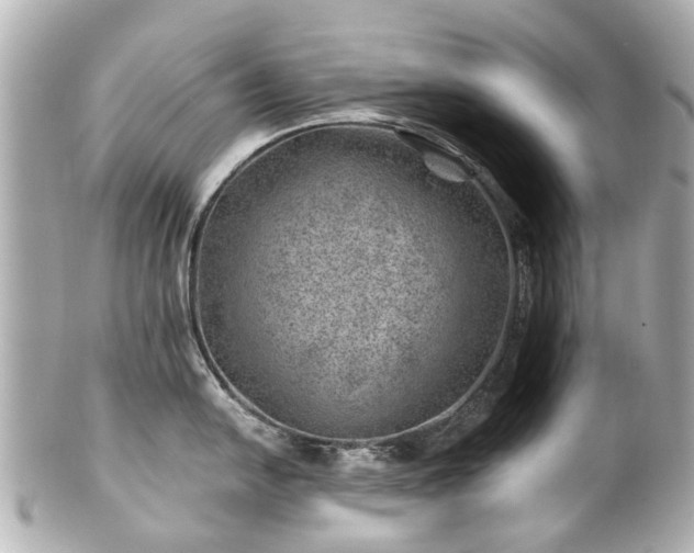 X0000100901054200807011216