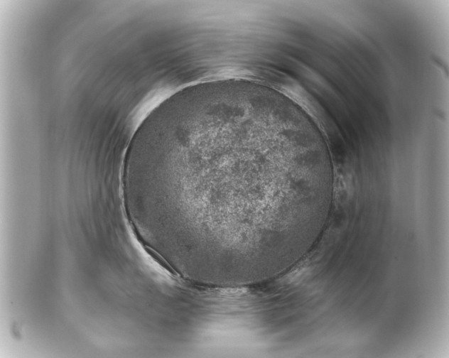 X0000100901055200807011216