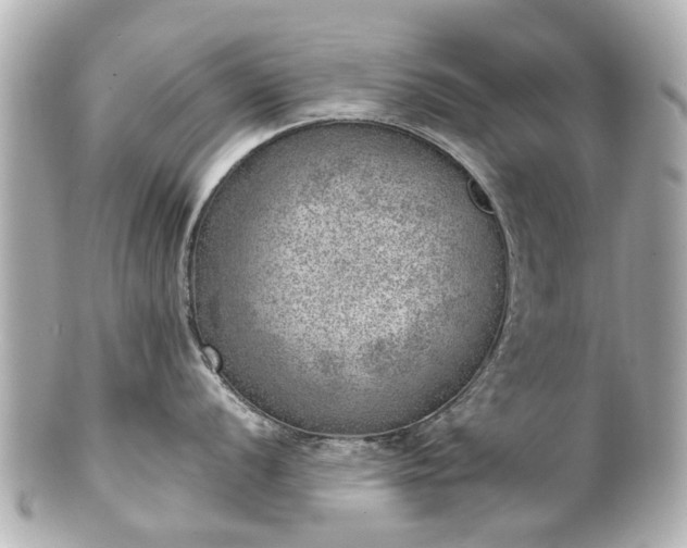 X0000100901056200807011216