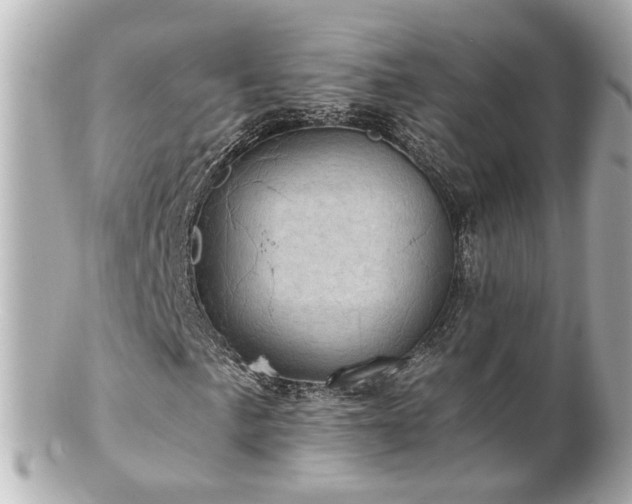 X0000100901057200807011215