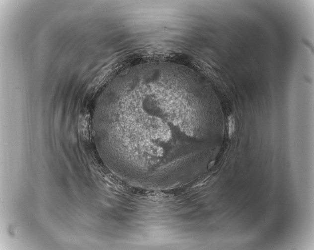 X0000100901059200807011215