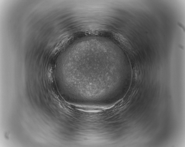 X0000100901060200807011215