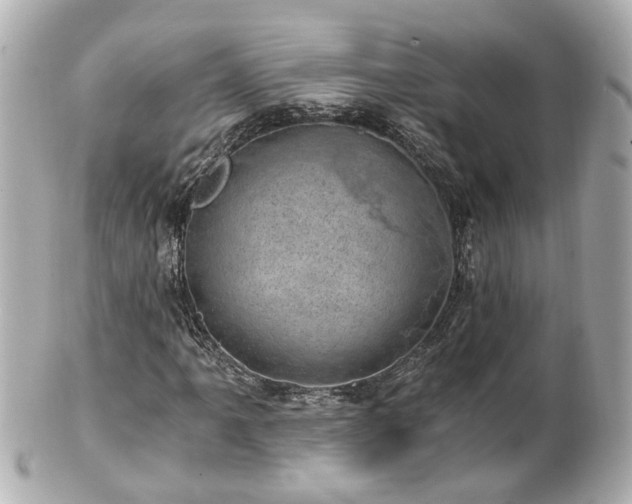 X0000100901061200807011215