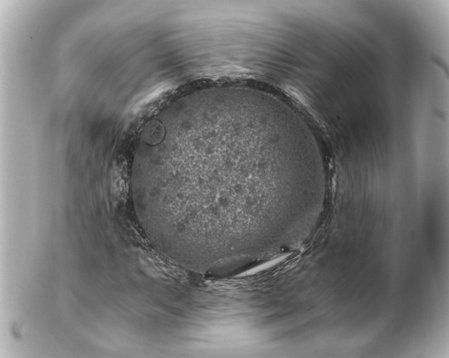 X0000100901063200807011215