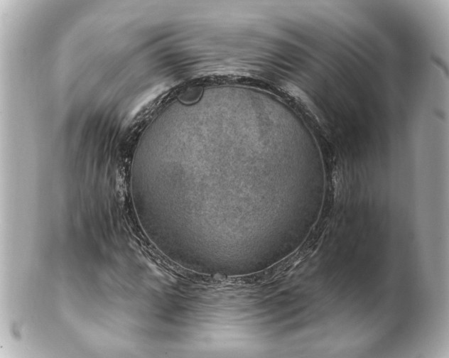 X0000100901064200807011215