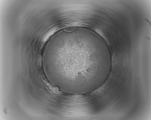 X0000100901067200807011215