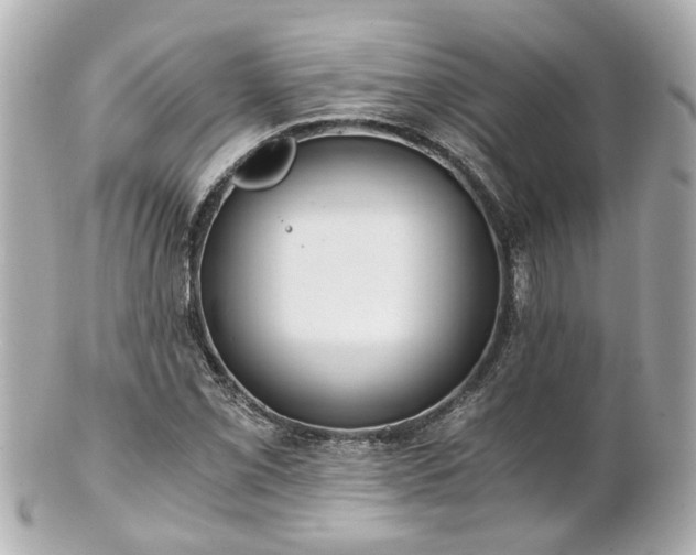 X0000100901069200807011215