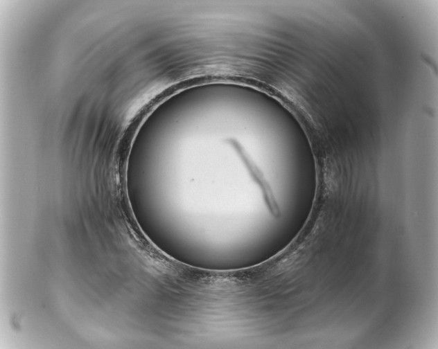 X0000100901070200807011215