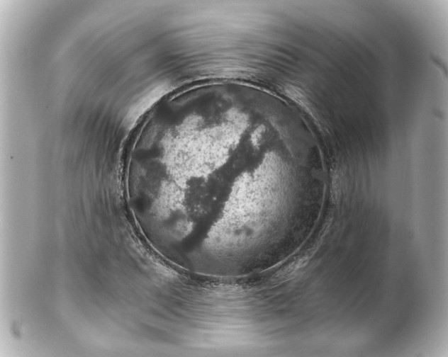 X0000100901071200807011215