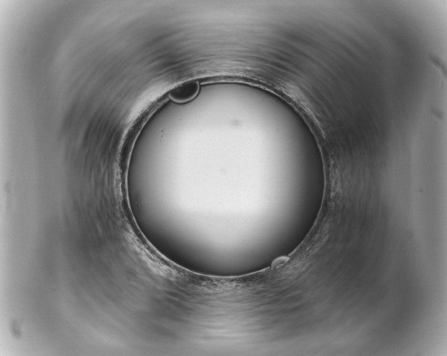 X0000100901072200807011215