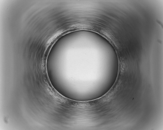 X0000100901074200807011215