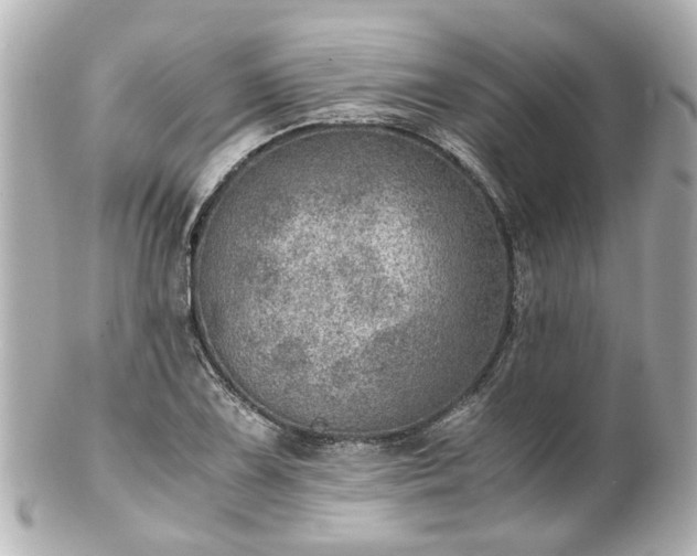 X0000100901075200807011215