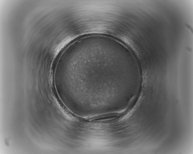 X0000100901077200807011215