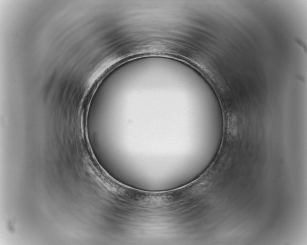 X0000100901078200807011215