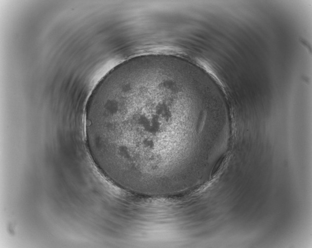 X0000100901079200807011215