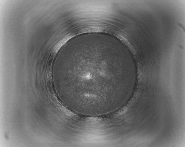 X0000100901081200807011215