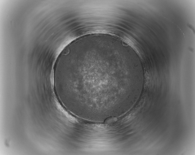 X0000100901084200807011215