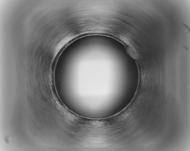 X0000100901085200807011215