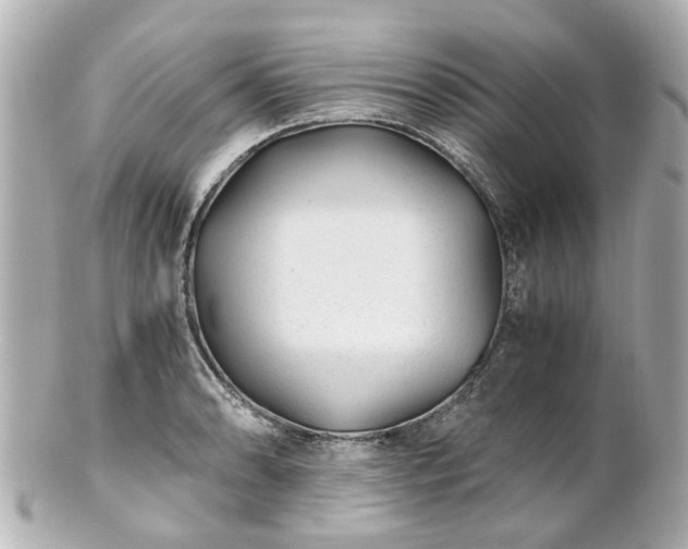 X0000100901086200807011214