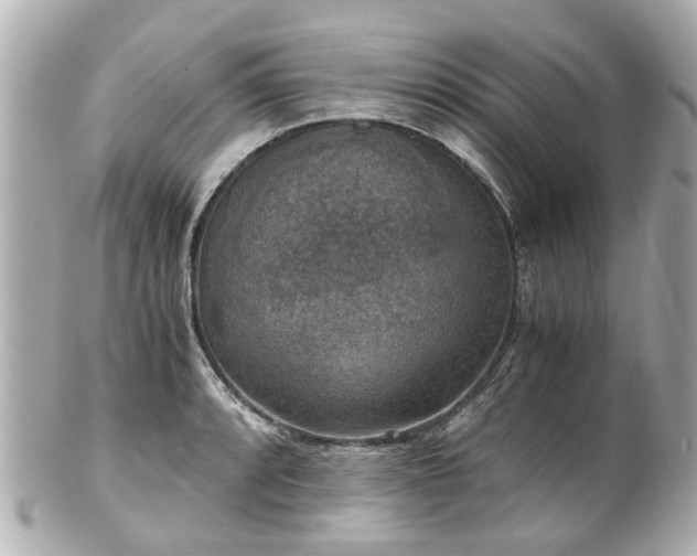 X0000100901088200807011214