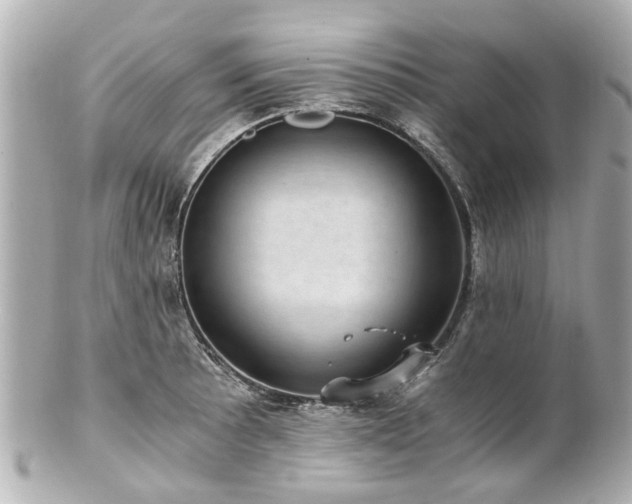 X0000100901089200807011214