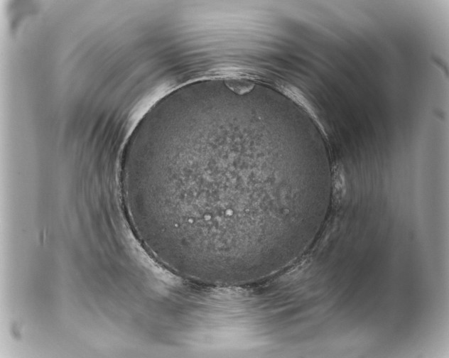 X0000100901091200807011214