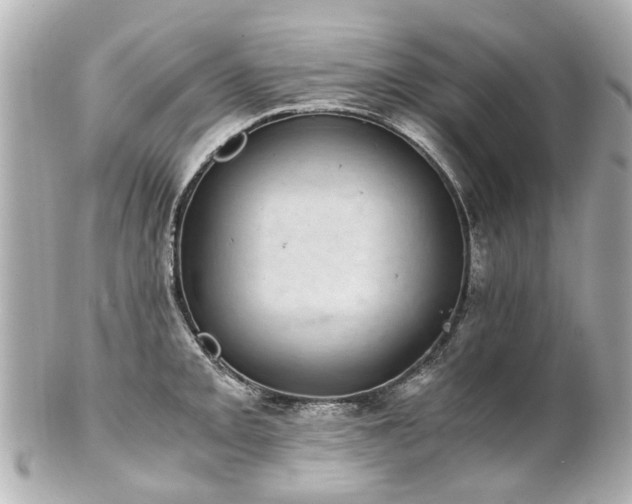 X0000100901093200807011214