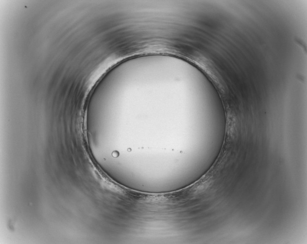 X0000100901094200807011214