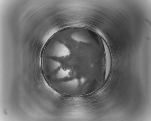 X0000100901095200807011214