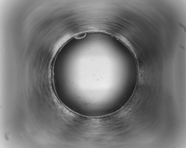 X0000100901096200807011214