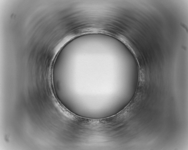 X0000100901098200807011214