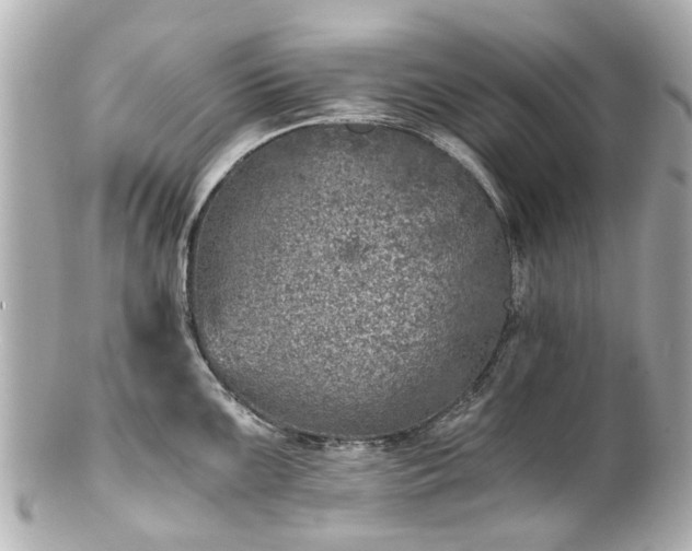 X0000100901099200807011214