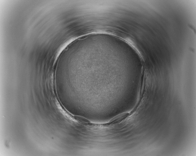 X0000100901100200807011214