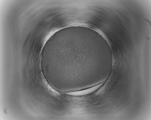 X0000100901102200807011214