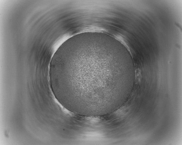 X0000100901103200807011214
