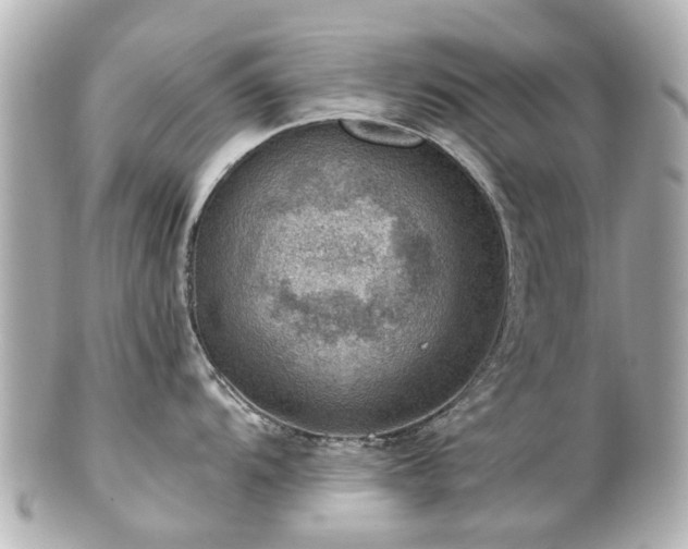 X0000100901104200807011214