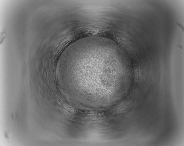 X0000100901105200807011214