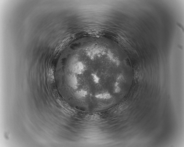 X0000100901106200807011214
