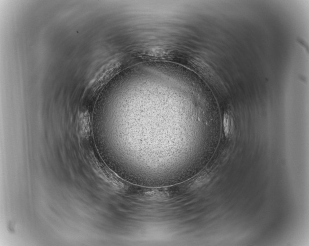 X0000100901107200807011214