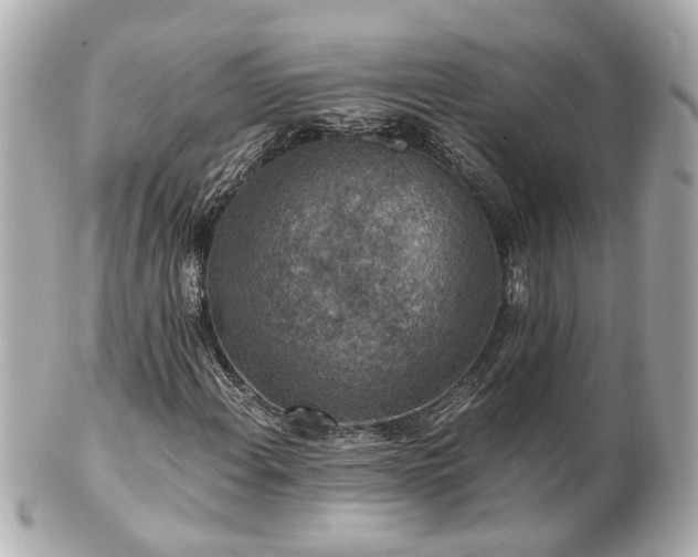 X0000100901108200807011214