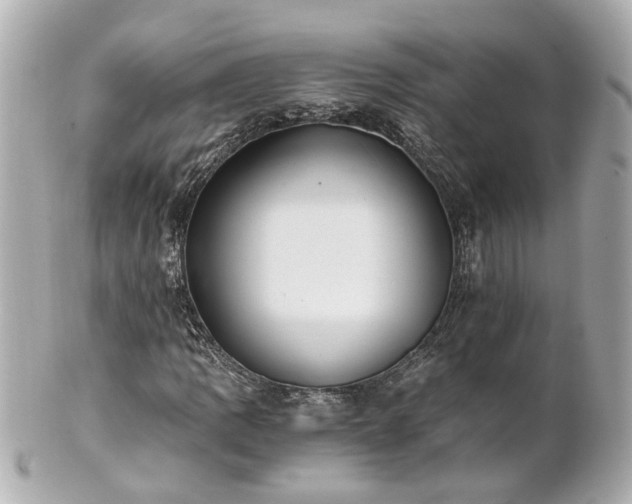 X0000100901109200807011214