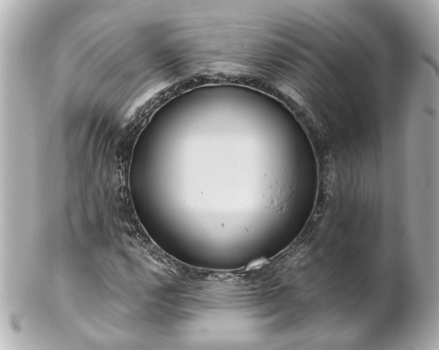 X0000100901112200807011214