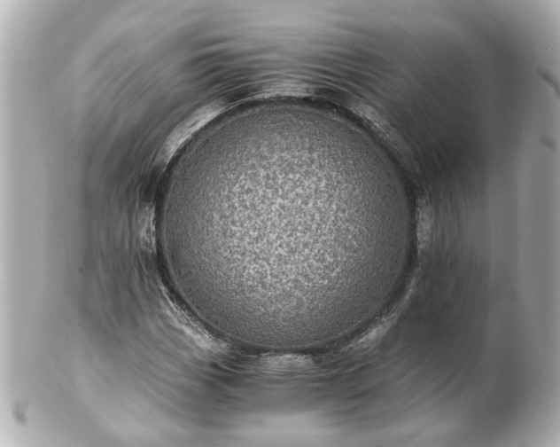 X0000100901113200807011214