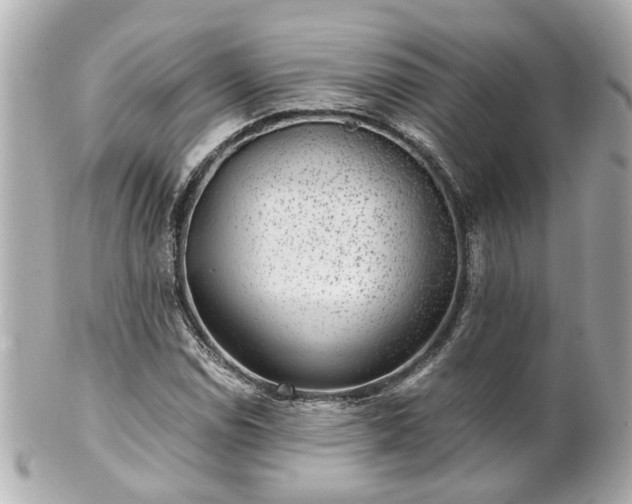 X0000100901114200807011214