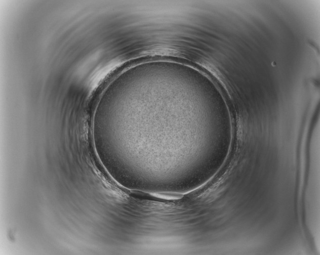 X0000100901115200807011214