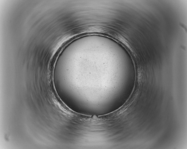 X0000100901116200807011214