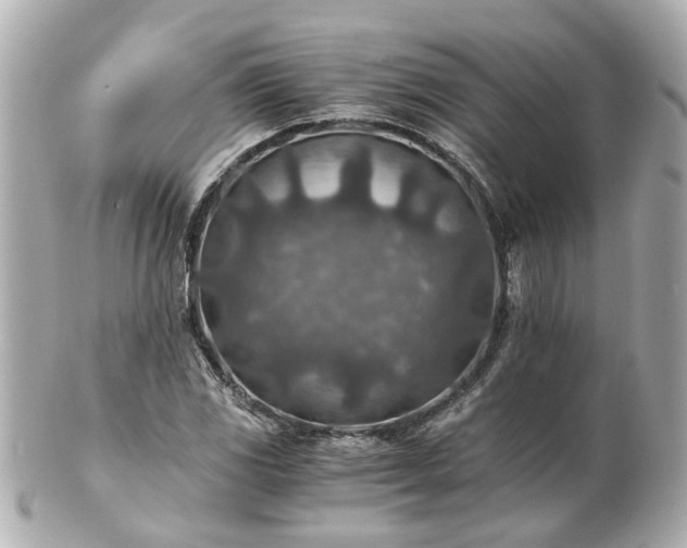 X0000100901117200807011214