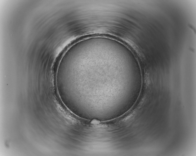 X0000100901118200807011214