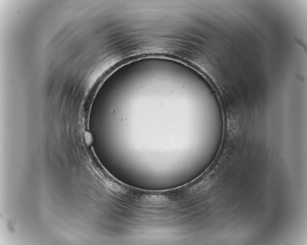 X0000100901119200807011214