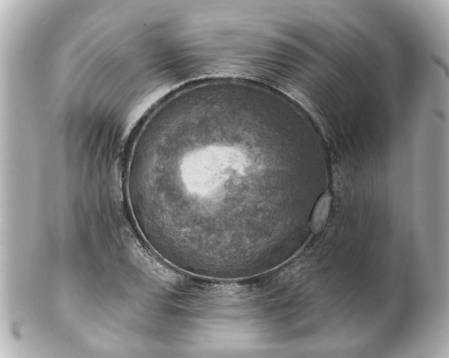 X0000100901120200807011214